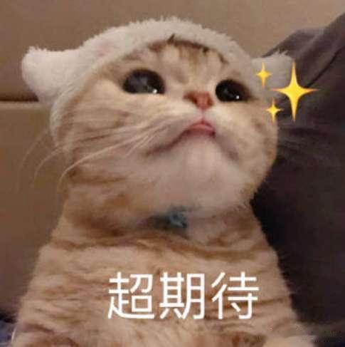 #拍到吉祥物演我上班#噗哈哈哈，简直也太真实了吧 真是我本人上班的状态啦，很难不
