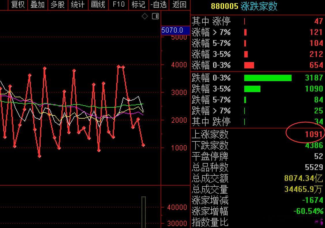 市场情绪冰点，指数全部红盘，继续的一九行情 