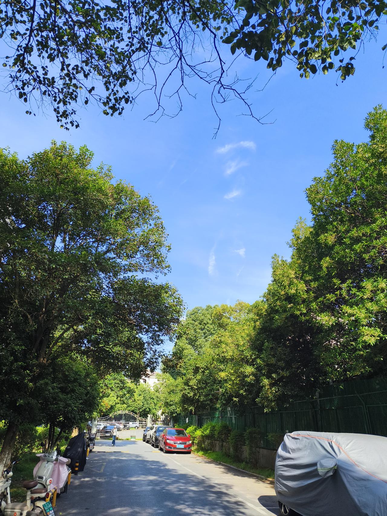 今年南京的夏天就像个调皮的孩子，让人完全摸不着它的脾气。先是黄梅季和强台风来了个
