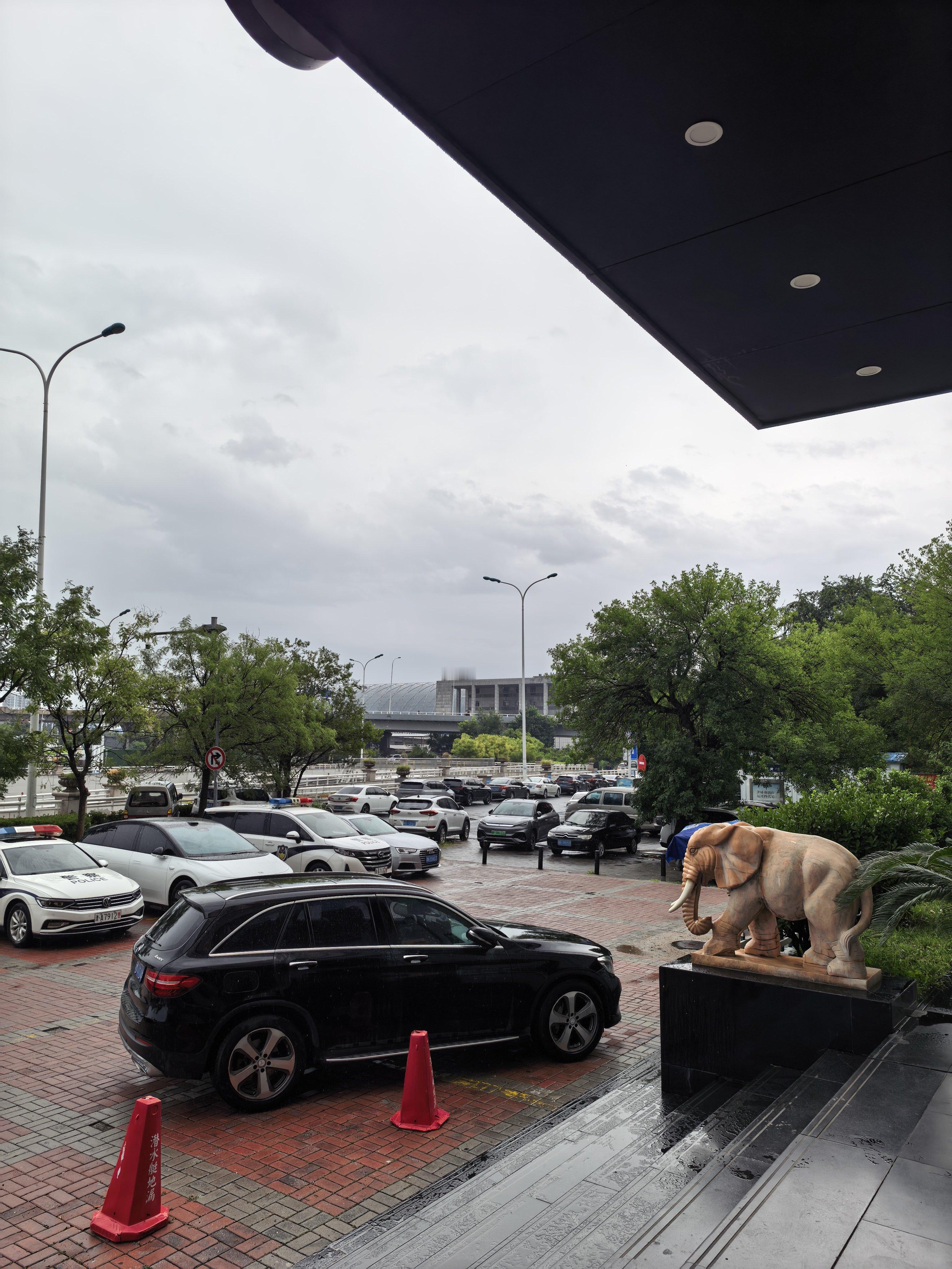 今天的city walk可能要泡汤了，天津这会儿一直在下雨。 开出去开心去