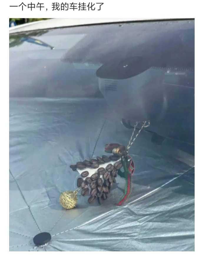 一个中午，我的车挂化了