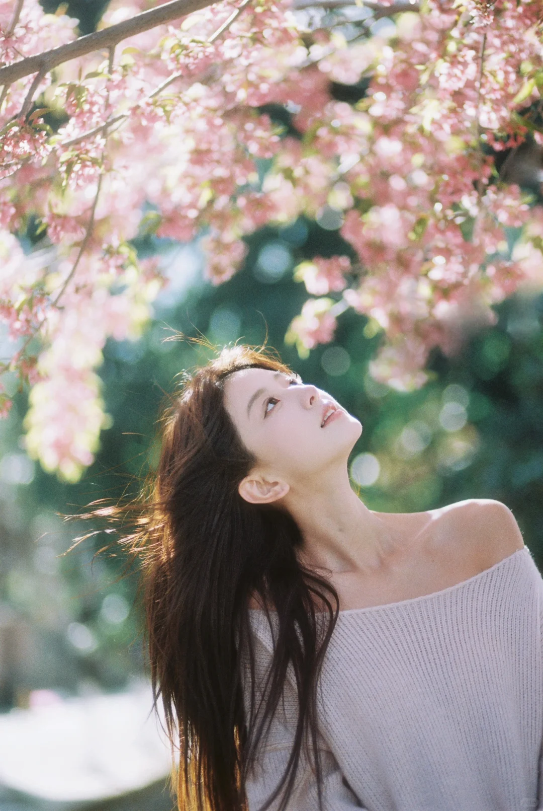 樱花树下站谁都美