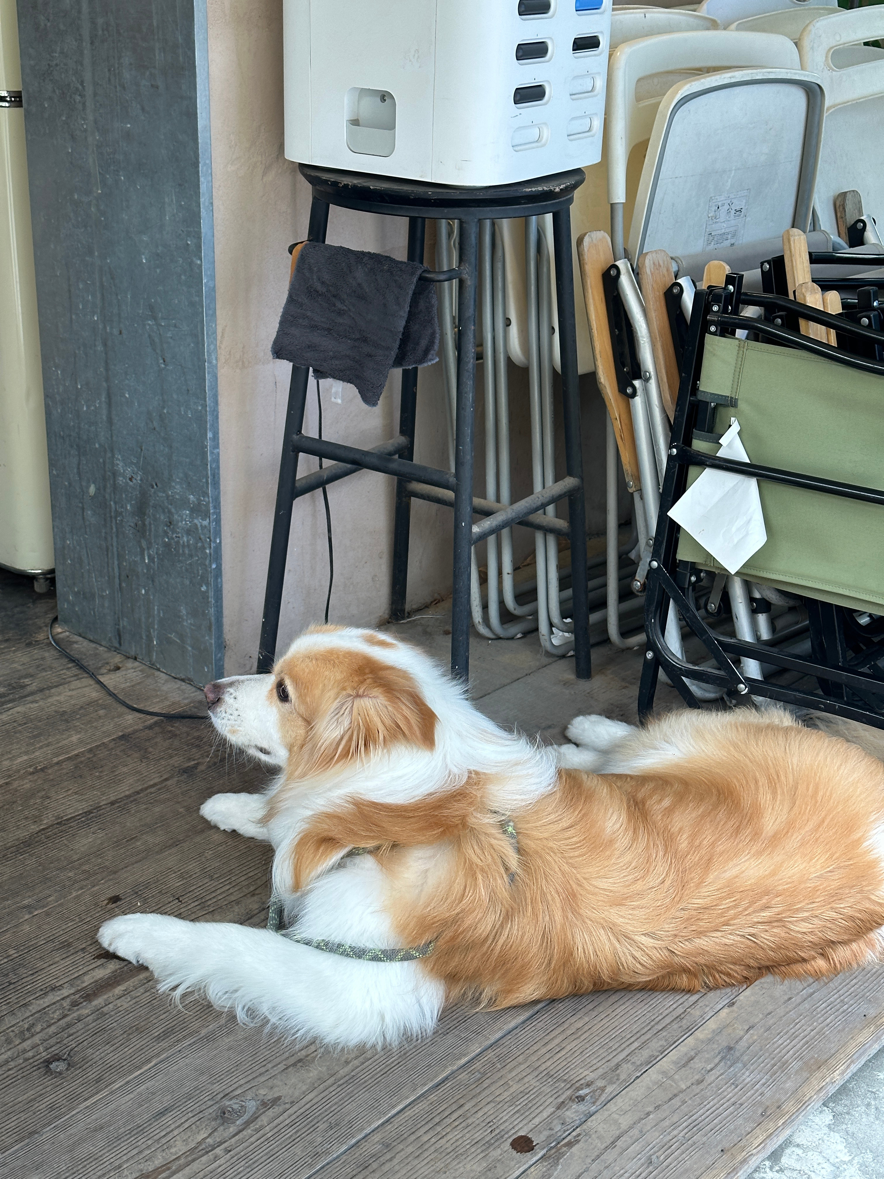 午间小记📝 ​​​