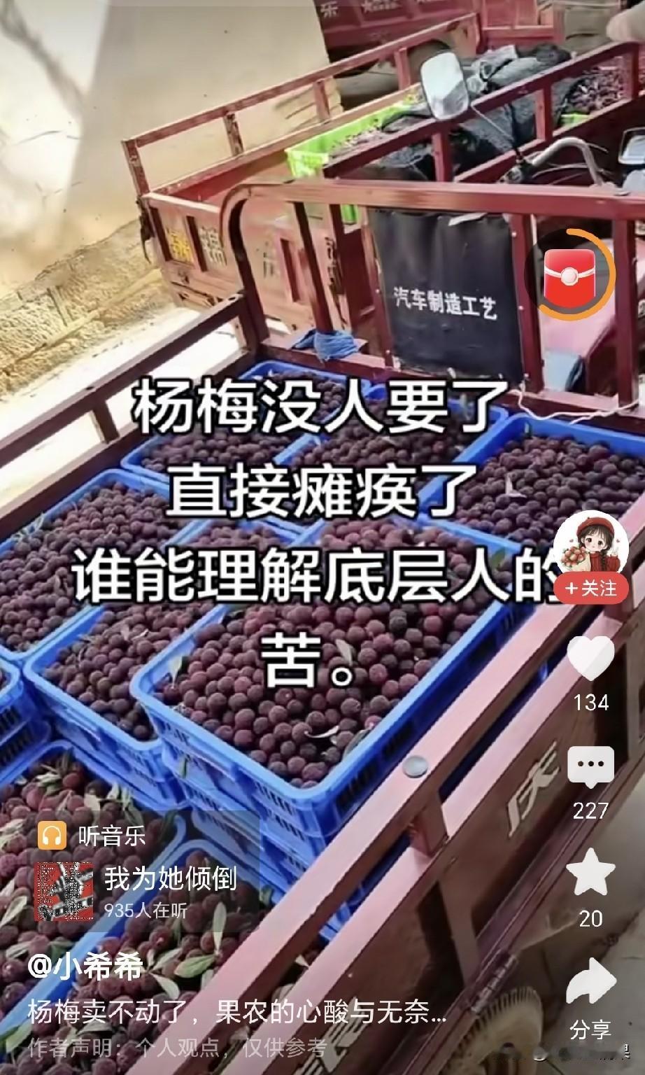 果农的杨梅卖不动，而我们却恰恰相反，消费者是买不起。
到底是哪儿出了问题？我们的