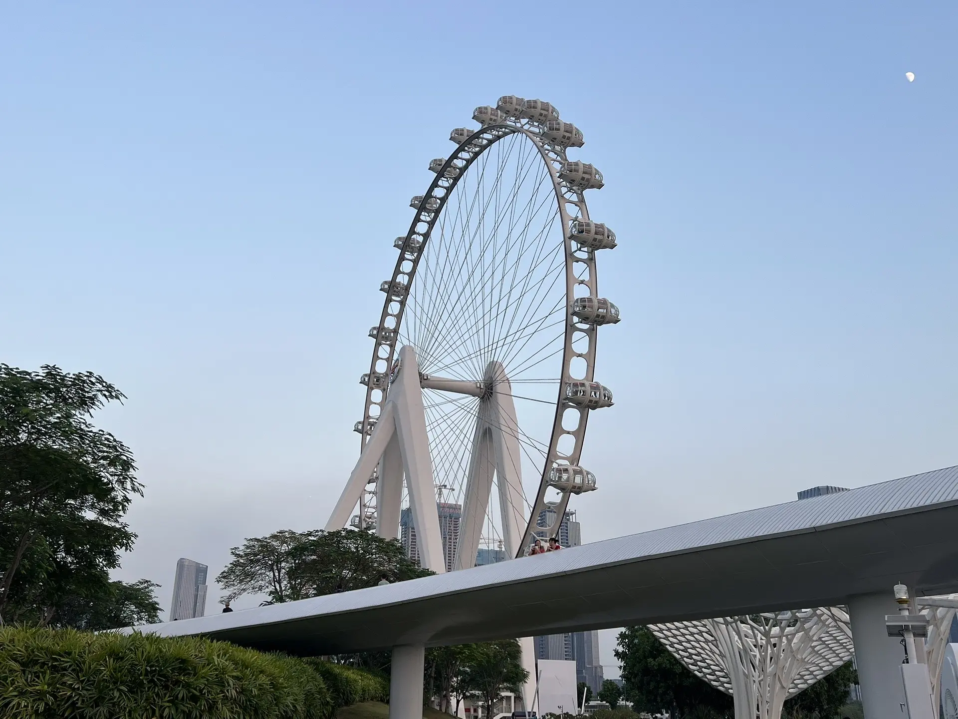 想怎么活就怎么活。昨天我还是早上7点起来泡奶送娃上学 下午接娃晚上遛娃...
