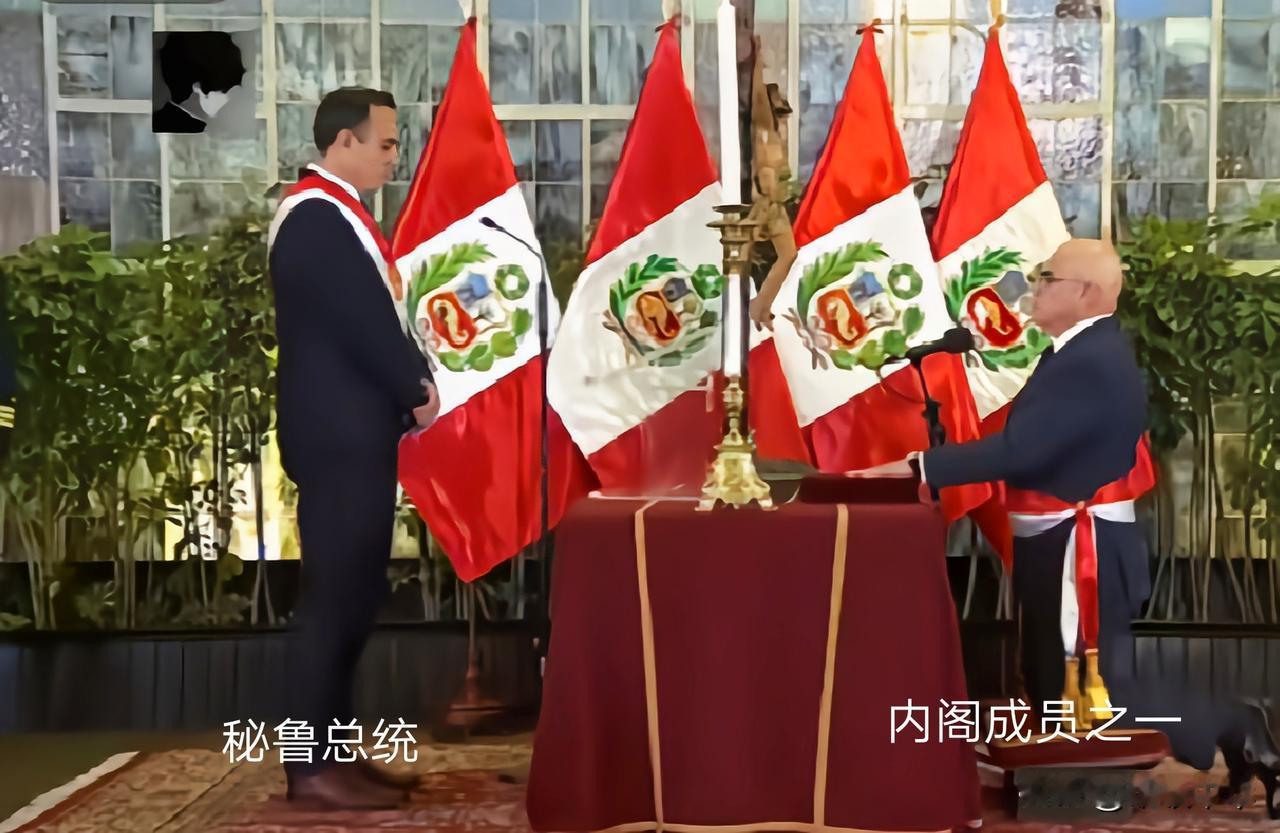 宣誓的形式有多种，其中秘鲁国新政府成员宣誓的形式最独特，内阁官员腰系国旗、手抚着