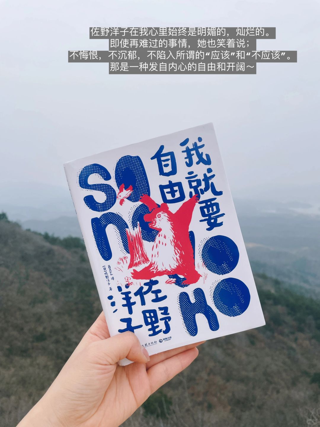 去山里读洋子，拥抱了我的小太阳