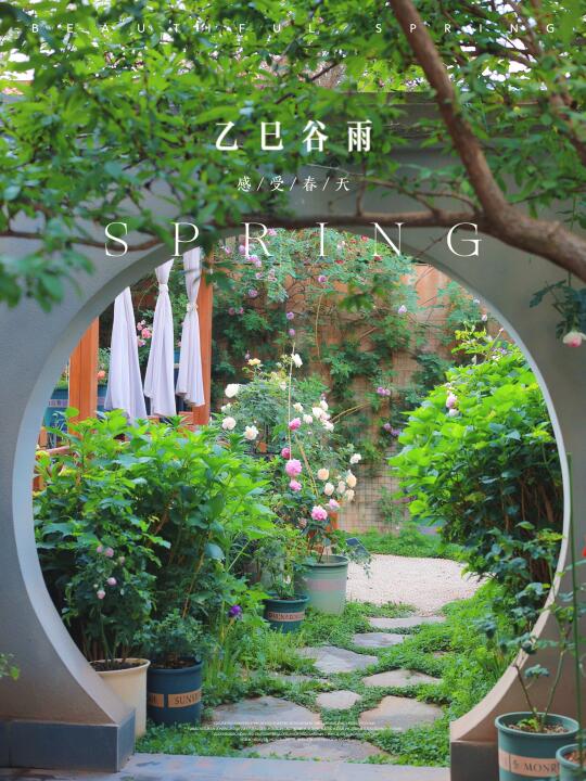 交换春天｜有点羡慕我邻居～