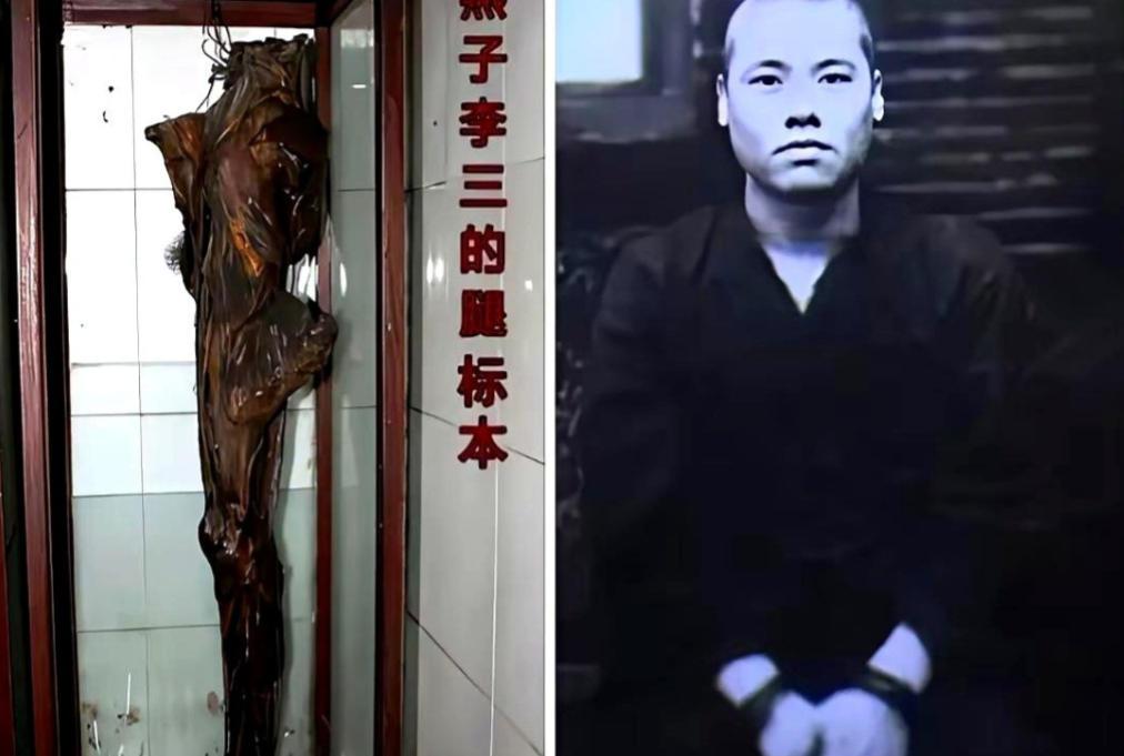 都说飞檐走壁是假的，直到燕子李三那条腿的标本被摆了出来。那东西一出来，整个武侠世