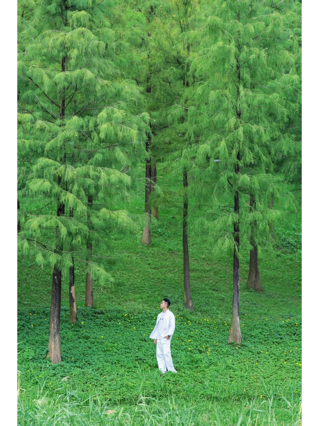 第一次来广州，一定要来这里被“绿”一次❗️