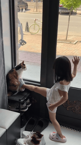 这速度，比人快了多少倍