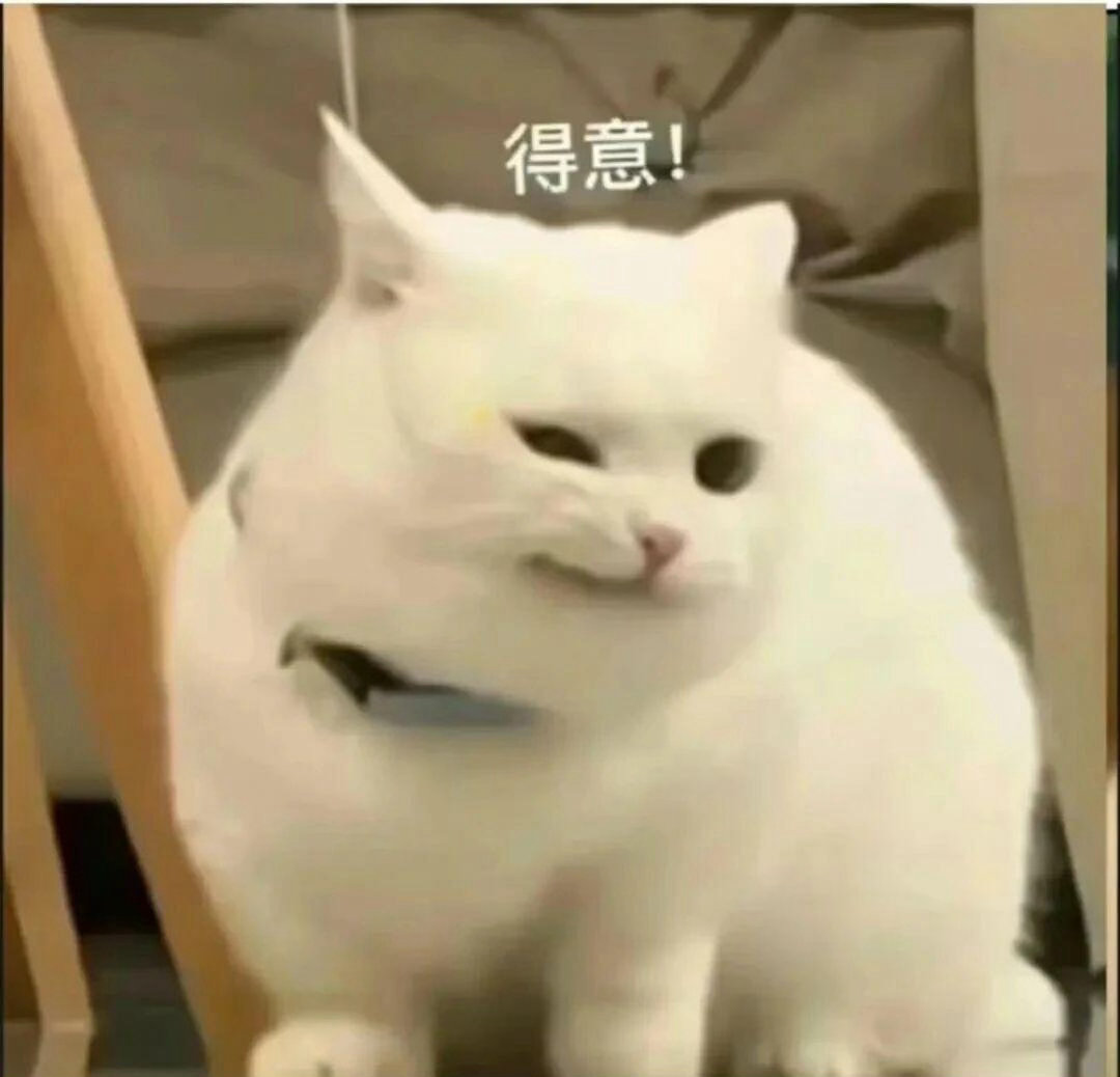 怎么能破防成这样啊但是吧，人在很成功的时候看酸言醋语也只会觉得这是氛围组，当大I