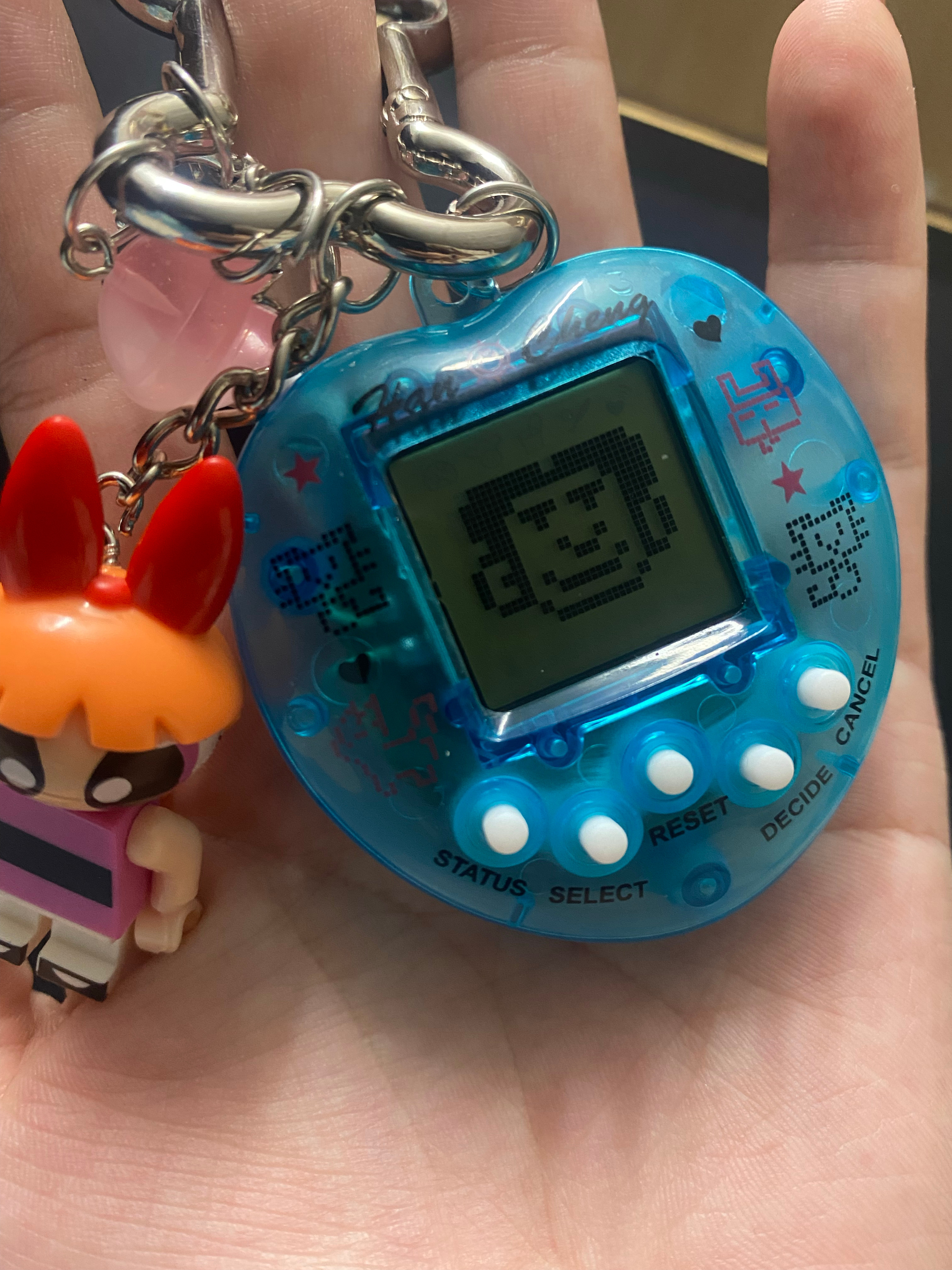 不要给我们家胡英俊在信封里塞💩了！ 