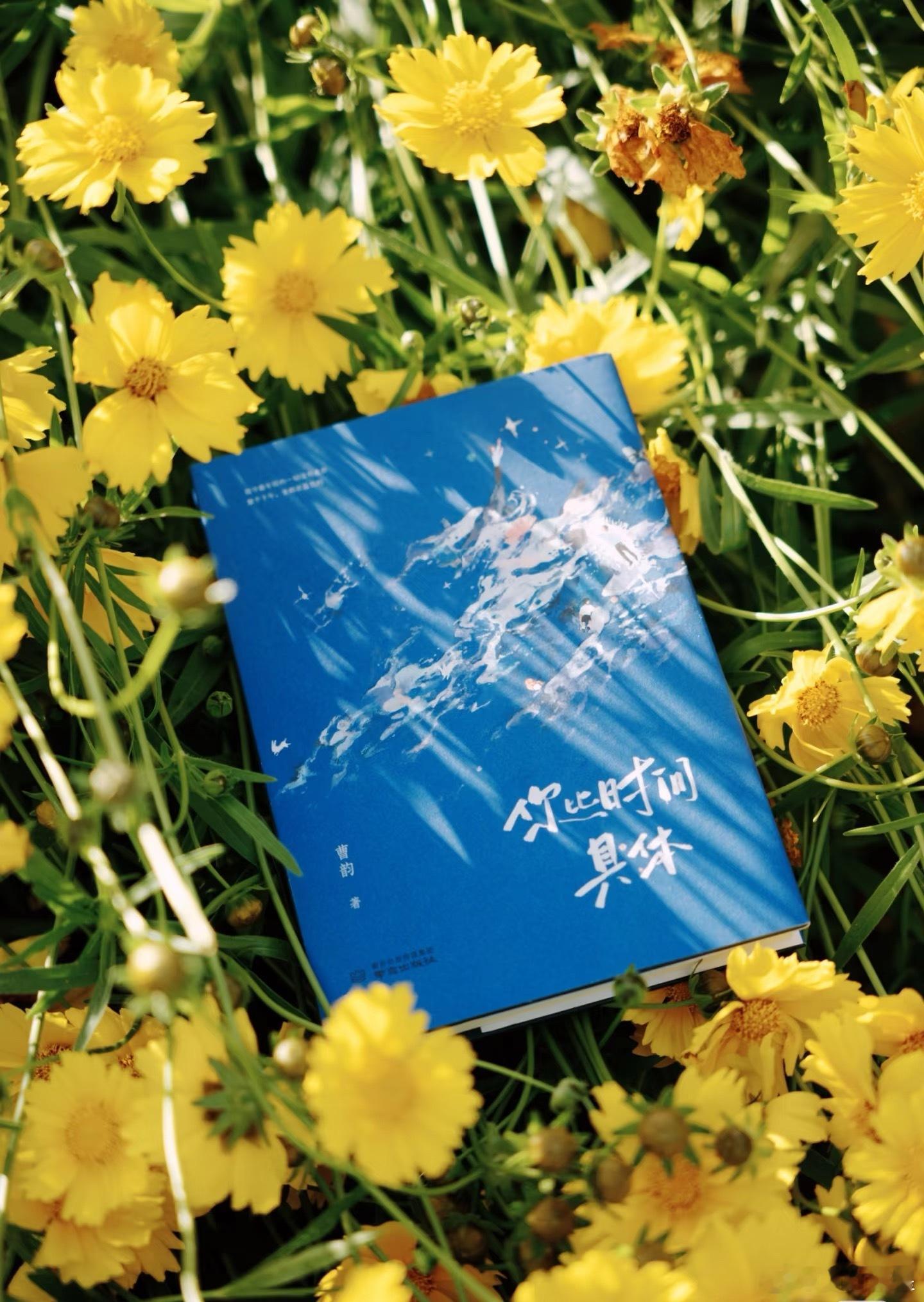 pick你心中的改编潜力王微博年度待改编IP评选🌸你觉得痛苦，它就过得漫长；你