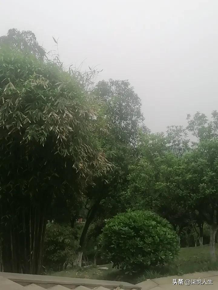 中年夫妻的日常，
休息日一觉睡到自然醒，
简单吃点东西，
收拾一遍家里。
然后骑