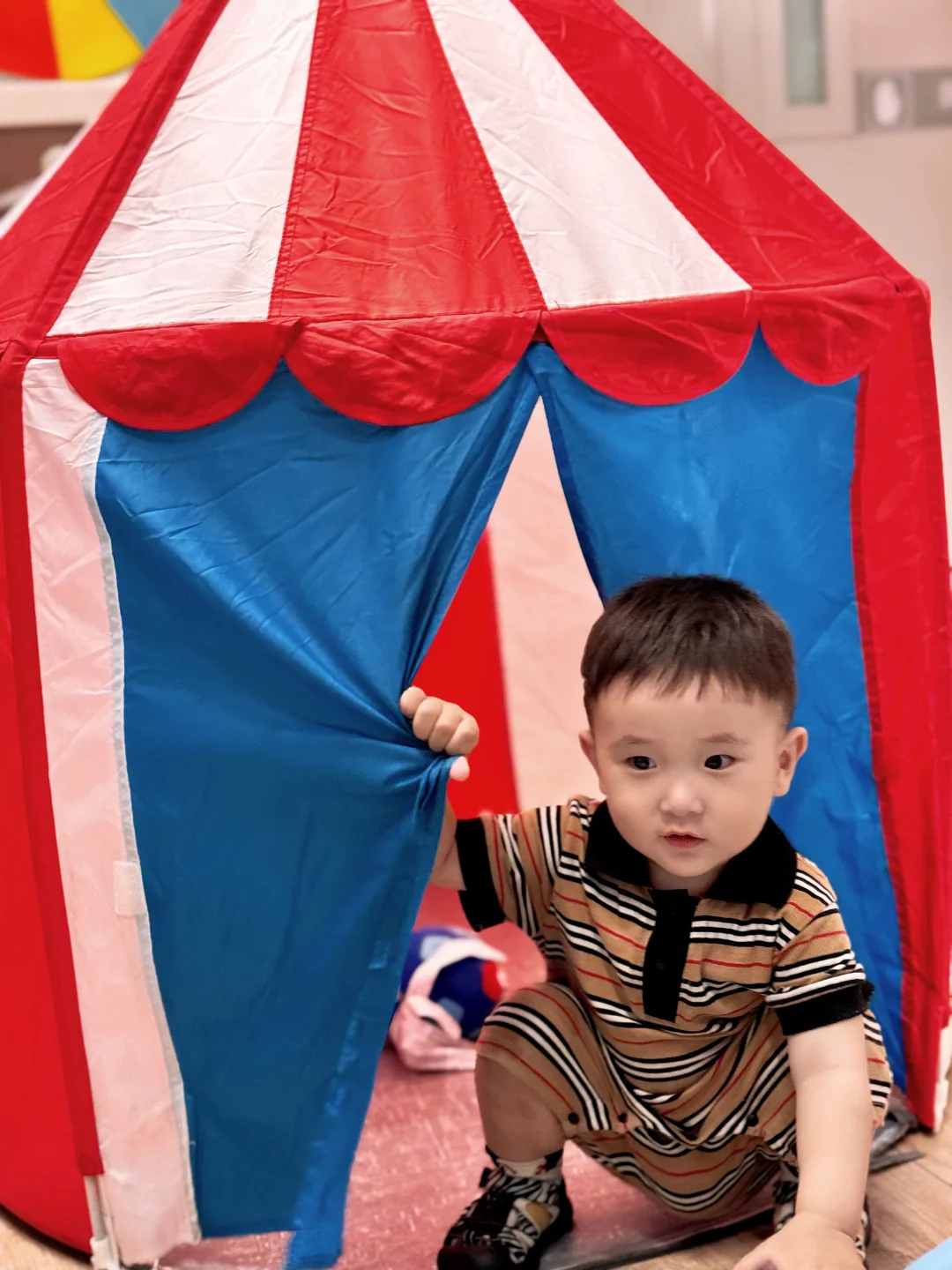 我的崽我的崽 小小圆圆一只好可爱