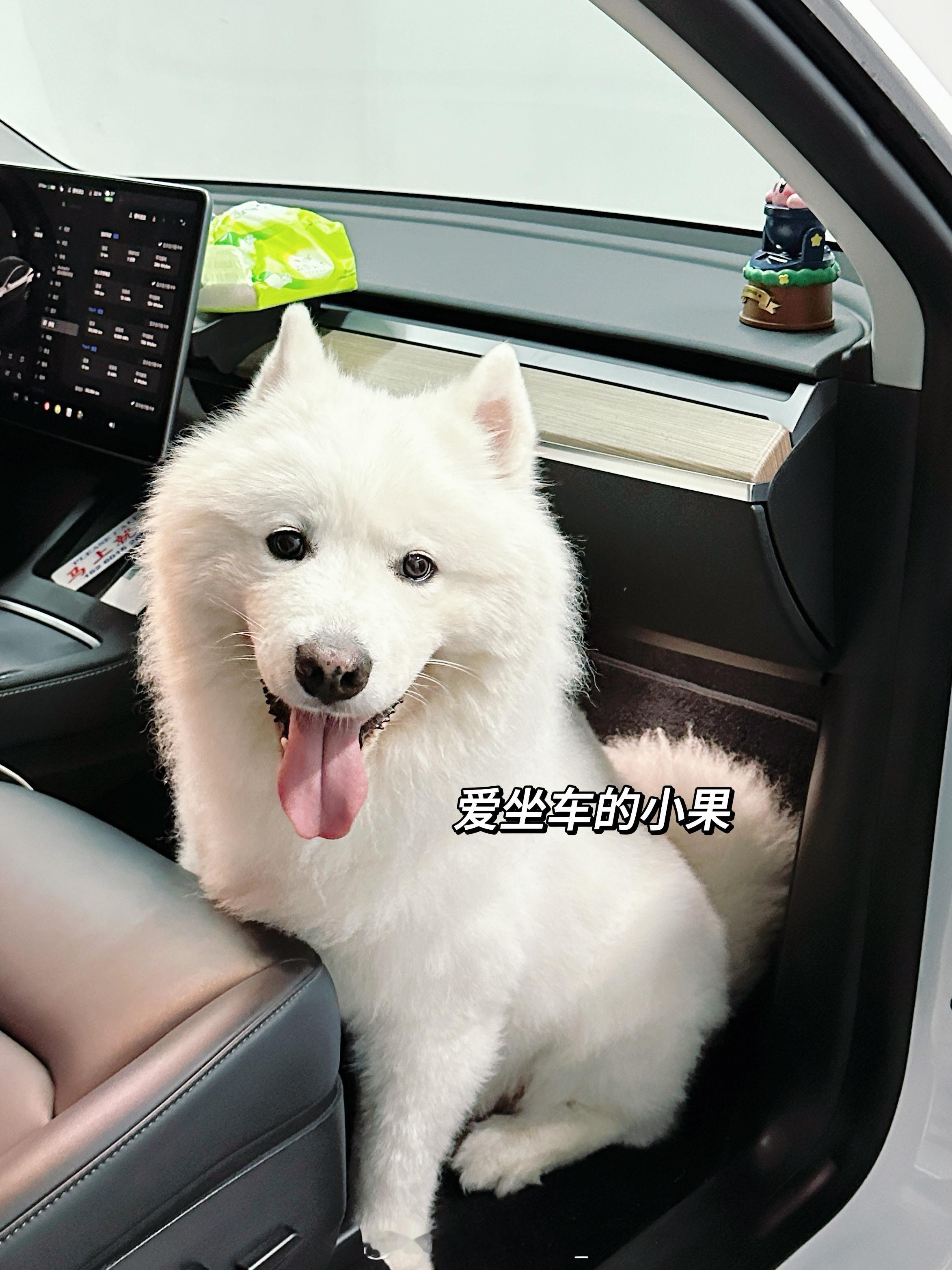 分享不新鲜事 ​​​