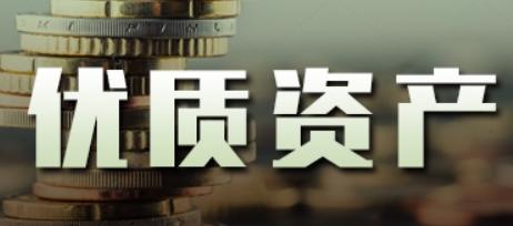 这个时代，到底啥才算优质资产？

这里说的优质资产，就是那种能一直给你下金蛋的鸡