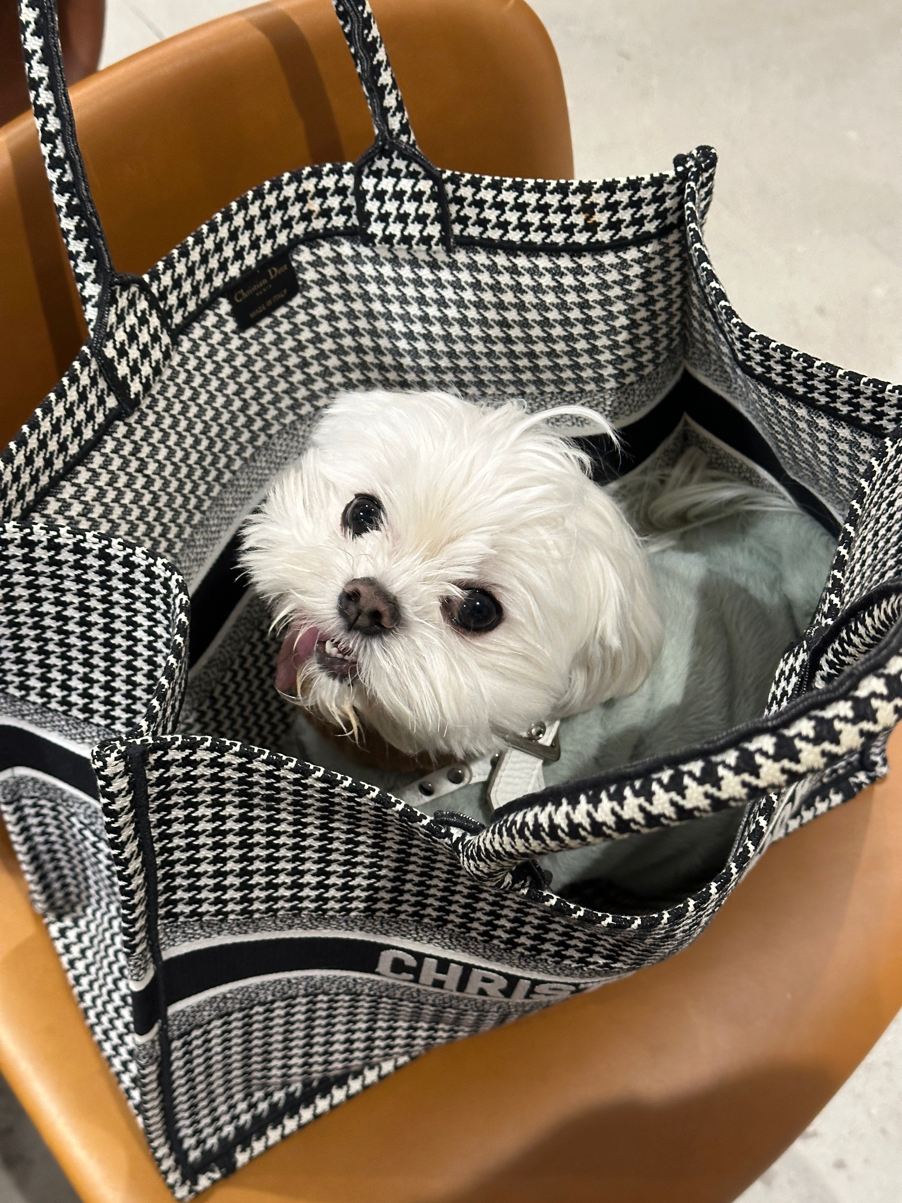 晕倒啦 太可爱了 ​​​