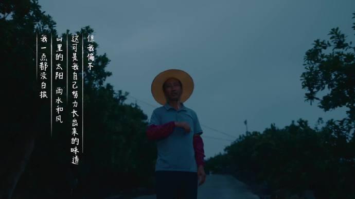 从枝头到舌尖，是一整个夏天的接力。有人早起采摘，有人深夜控温，所有人都只想让这口