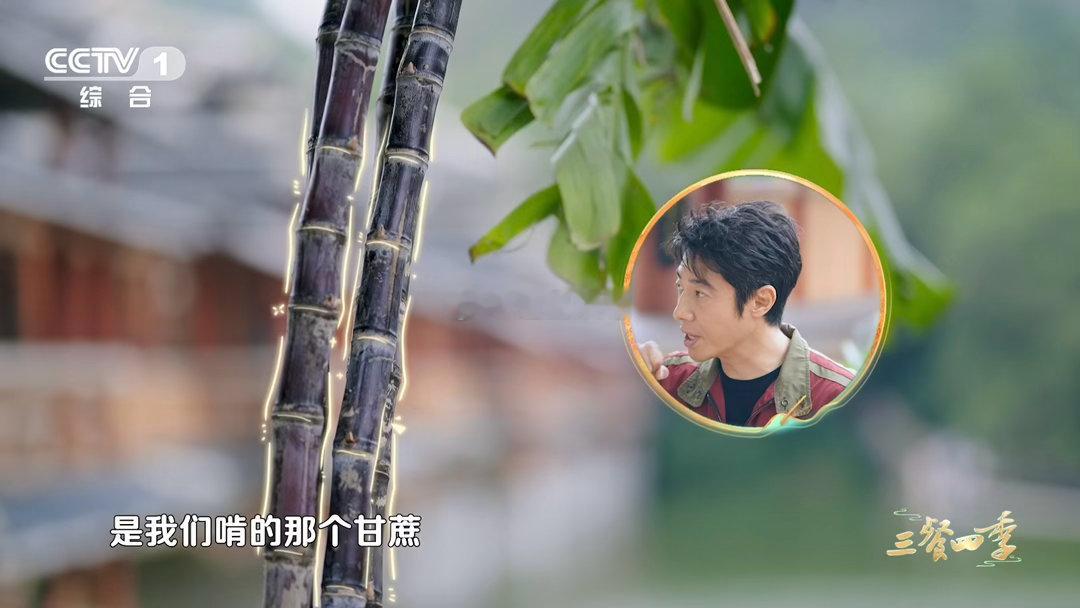 第一批用水果做菜的人吃商极高鸡肉咬出甘蔗汁是什么口感三餐四季 肉里有果香，汁里有