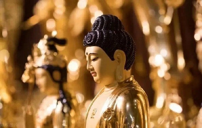 秒转佛祖 接下来做什么都会成功。转发就有好运~ 