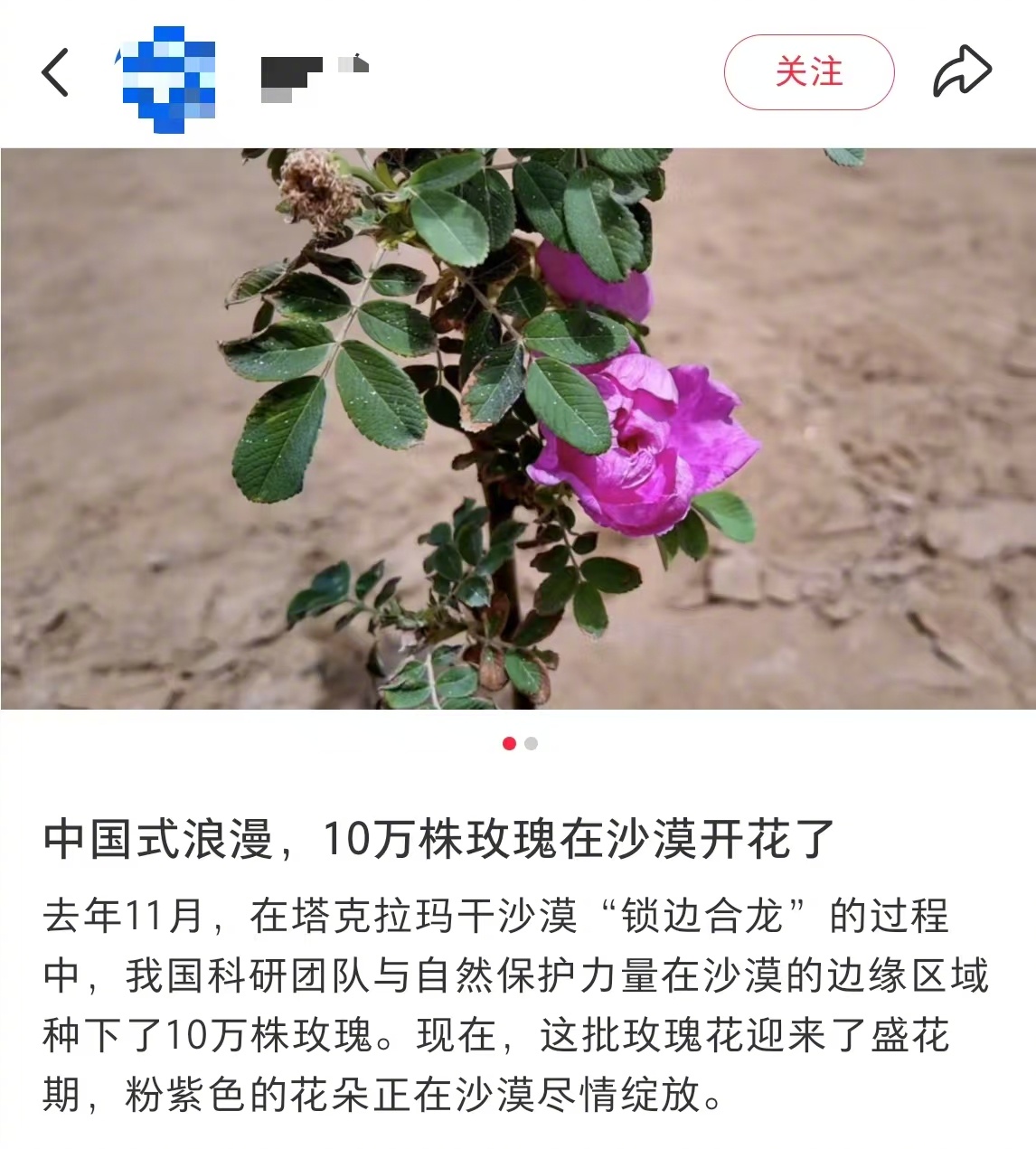 在沙漠里读懂中国人的浪漫 在沙漠里读懂中国人的浪漫 生活趣事狂想曲 ​​​