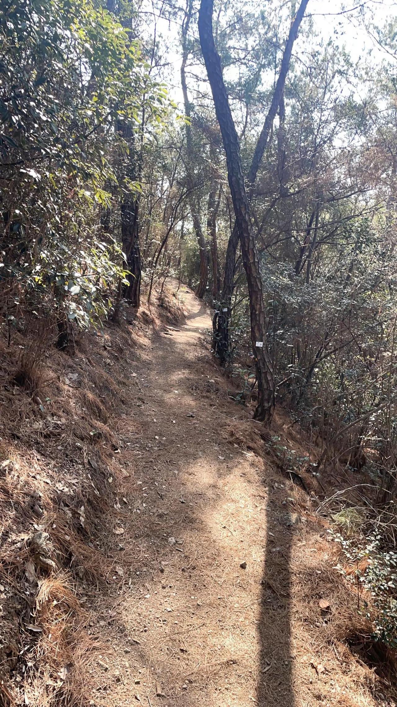 今日立春，祝大家一切顺利。户外徒步 登山 爬山