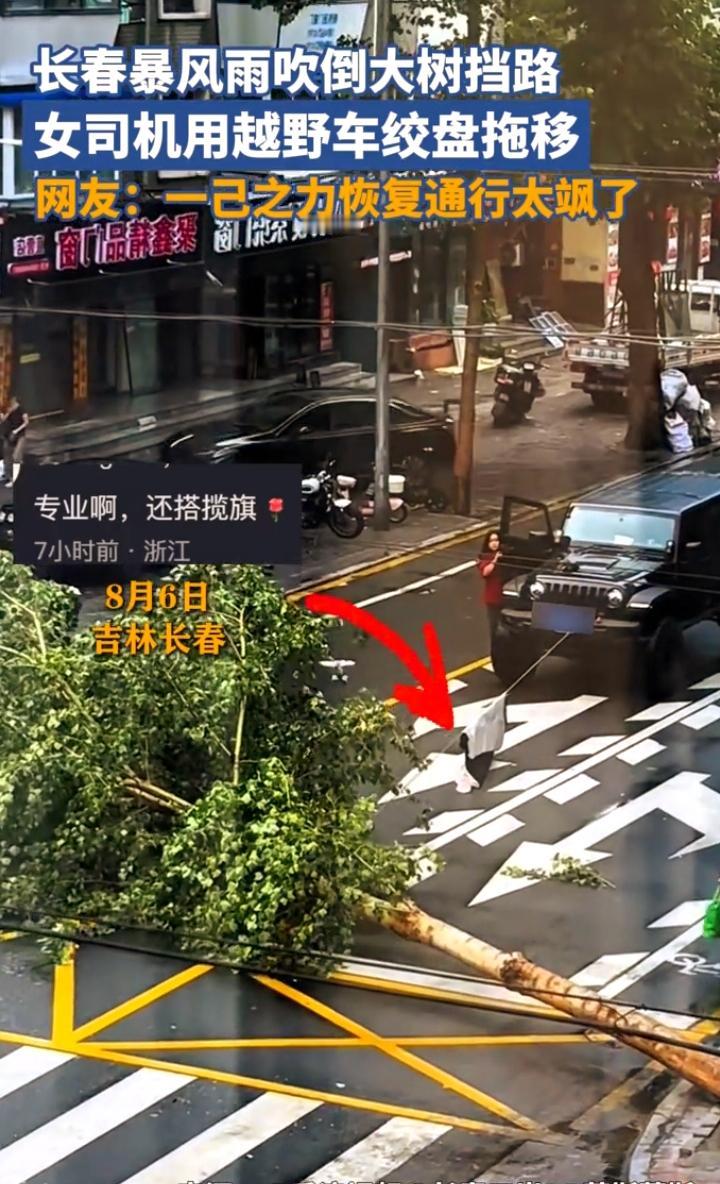 长春暴雨大树横堵马路，越野女司机一个操作全网炸了：这才是真"女司机"！
 
8月