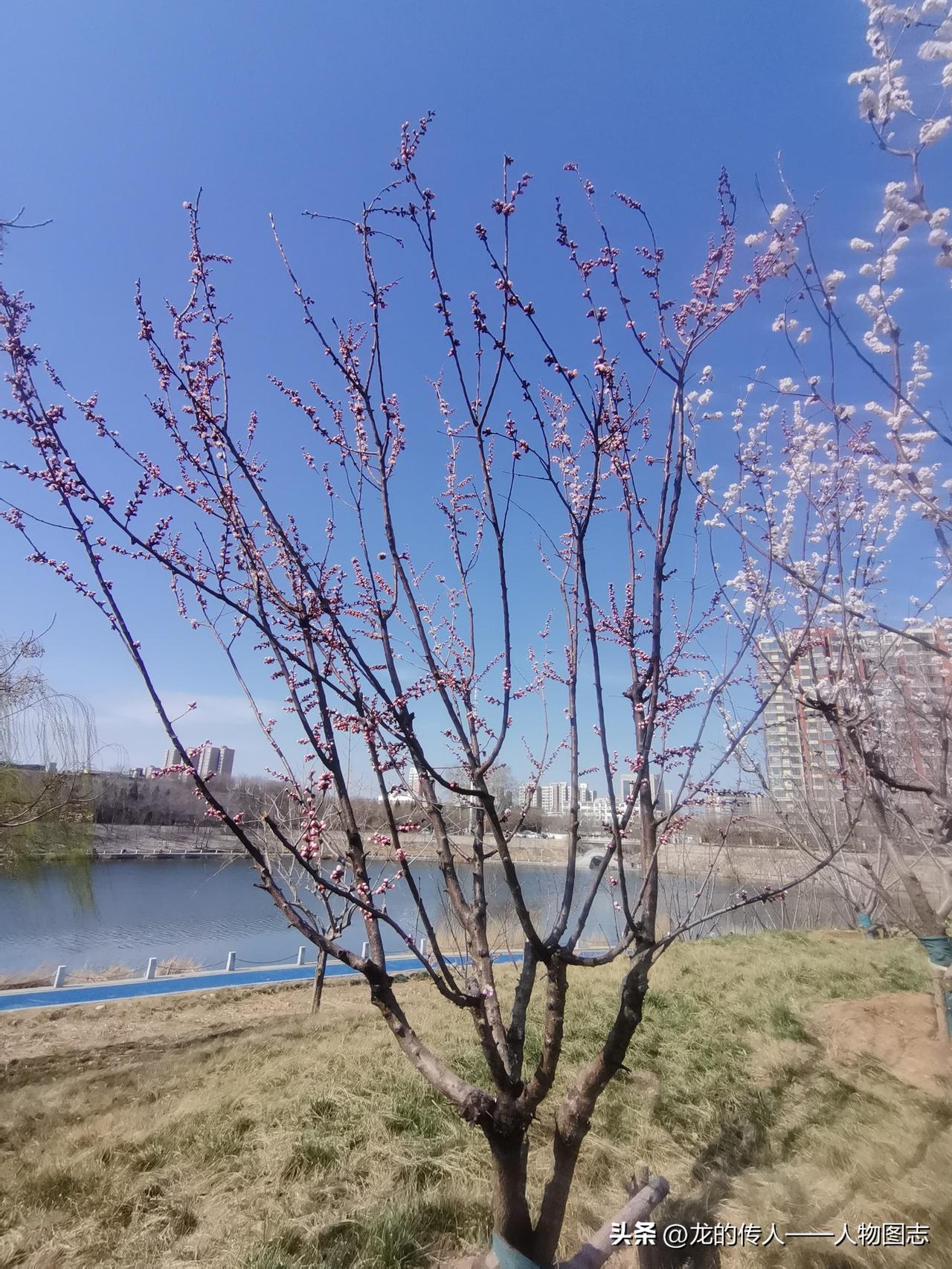 我的今日状态：😁轻松愉快
我这里的天气：☀️晴天