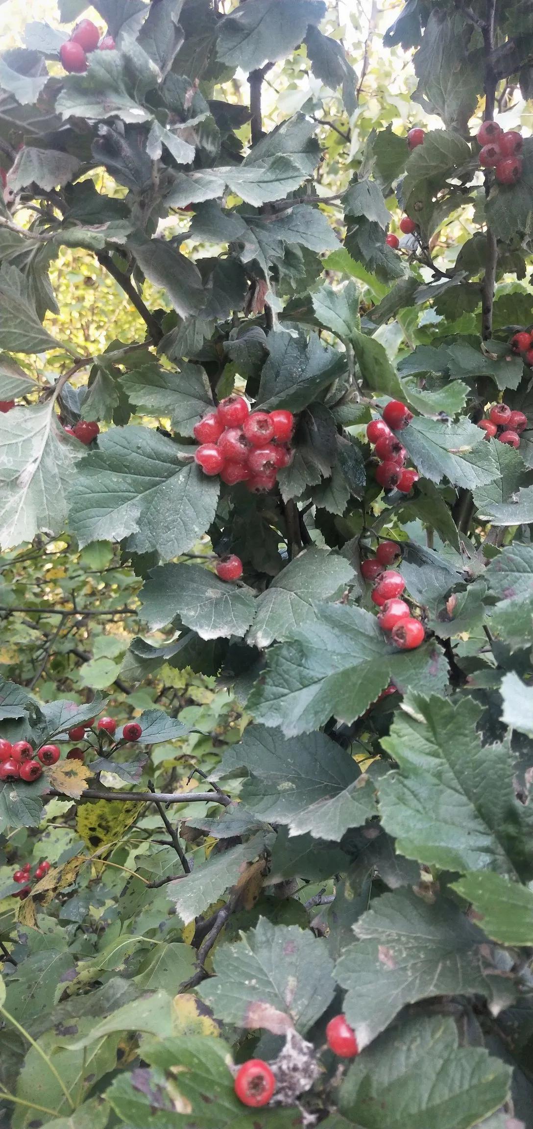 只要你无所畏惧，不管你的结果如何，其实你就赢了。

今天下午，我们进行教师技能大