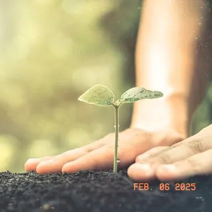 人善良与否其实是骨子里带的，并非由贫富决定，不能简单将善良与贫富划等号！  人生