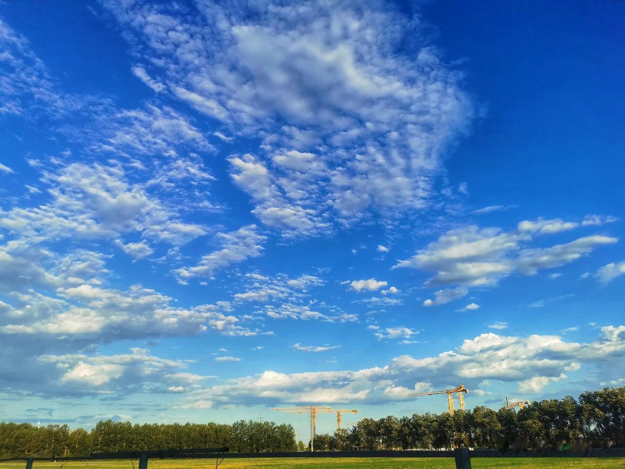 七月的夏天便是如此，一处绿荫、一把蒲扇、一碗绿豆汤、一场露天电影，热气腾腾地清清