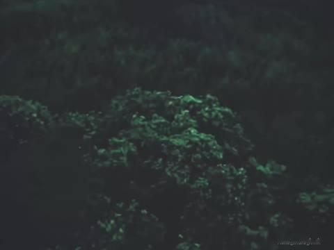 自创了一首（试着很燃的）陆江来联想曲 《破局》

《破局》  是一首专属于陆江来的联想曲，希望可以真