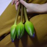 秋柱谈谈历史