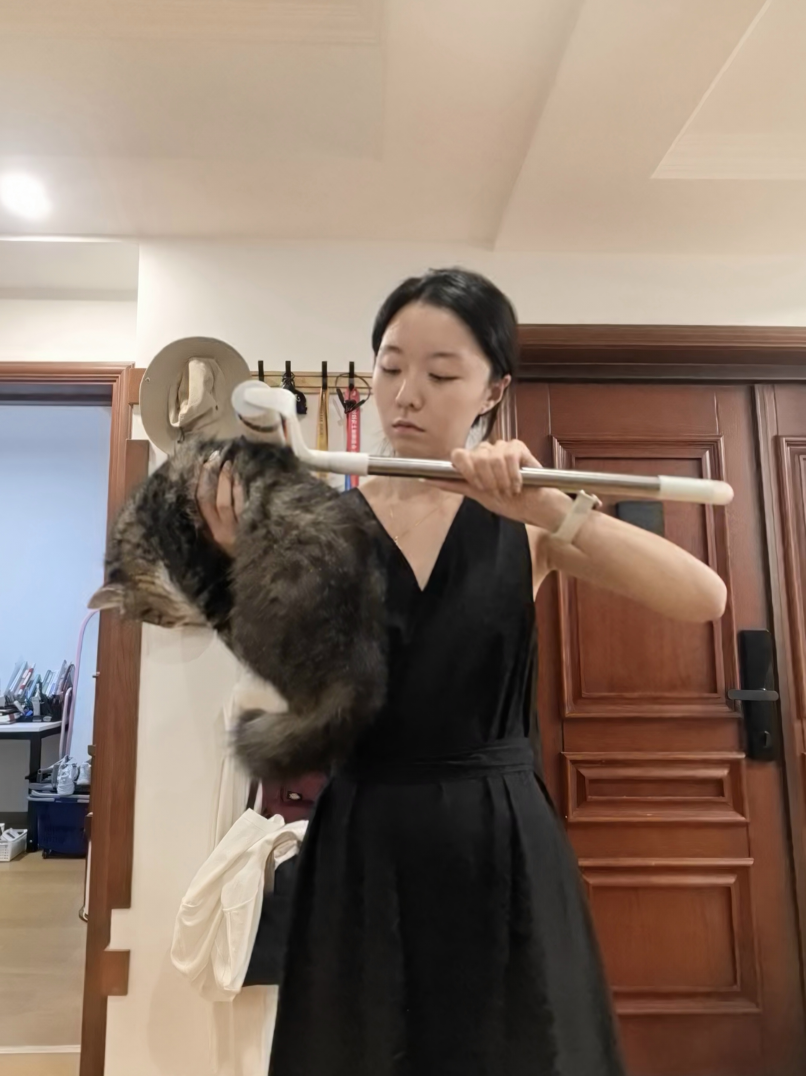 哈基米演奏家正在从源头解决问题🎻 