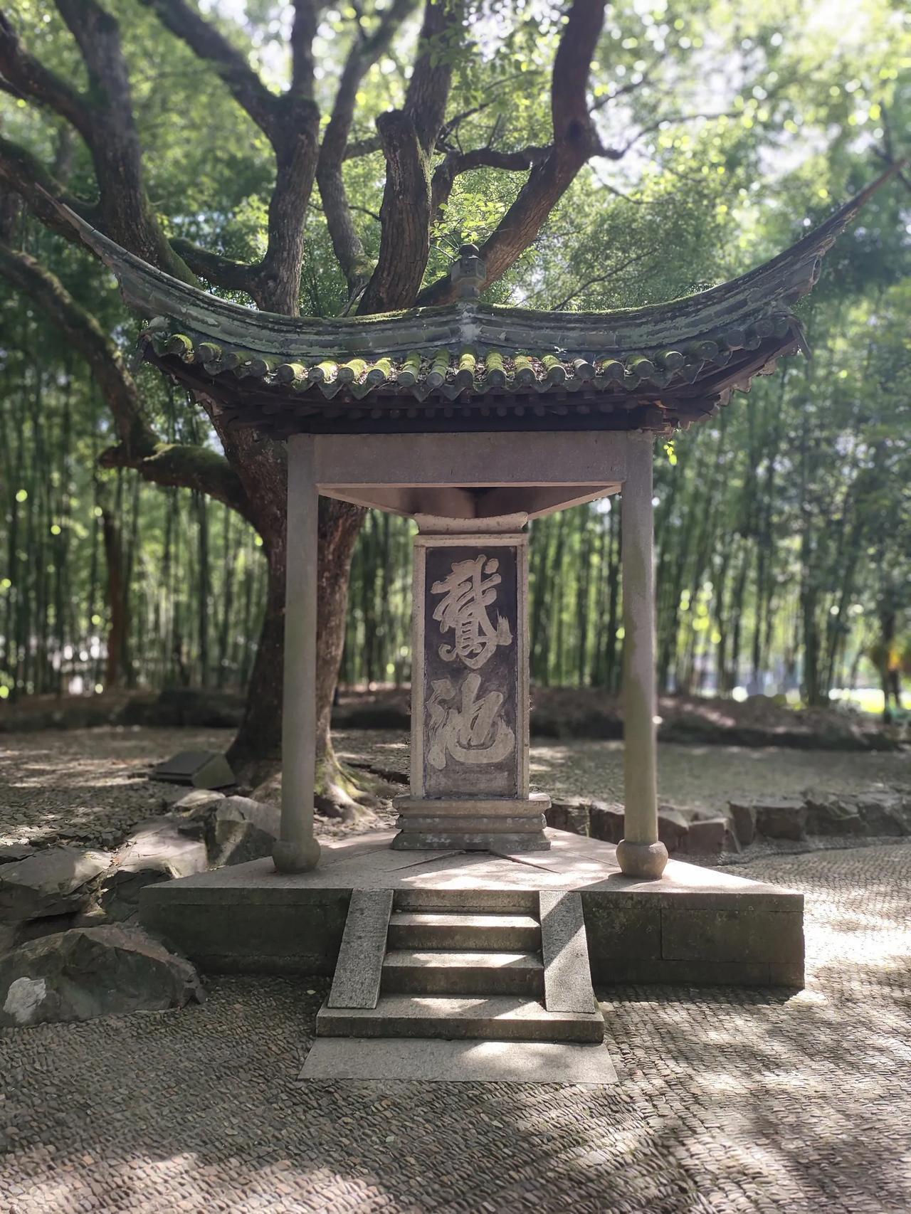 七绝【书林赏雅】
文/刘柏荣

石壁墙前看拓碑，书丛幽处赏临池。
兰亭邃美多翰墨