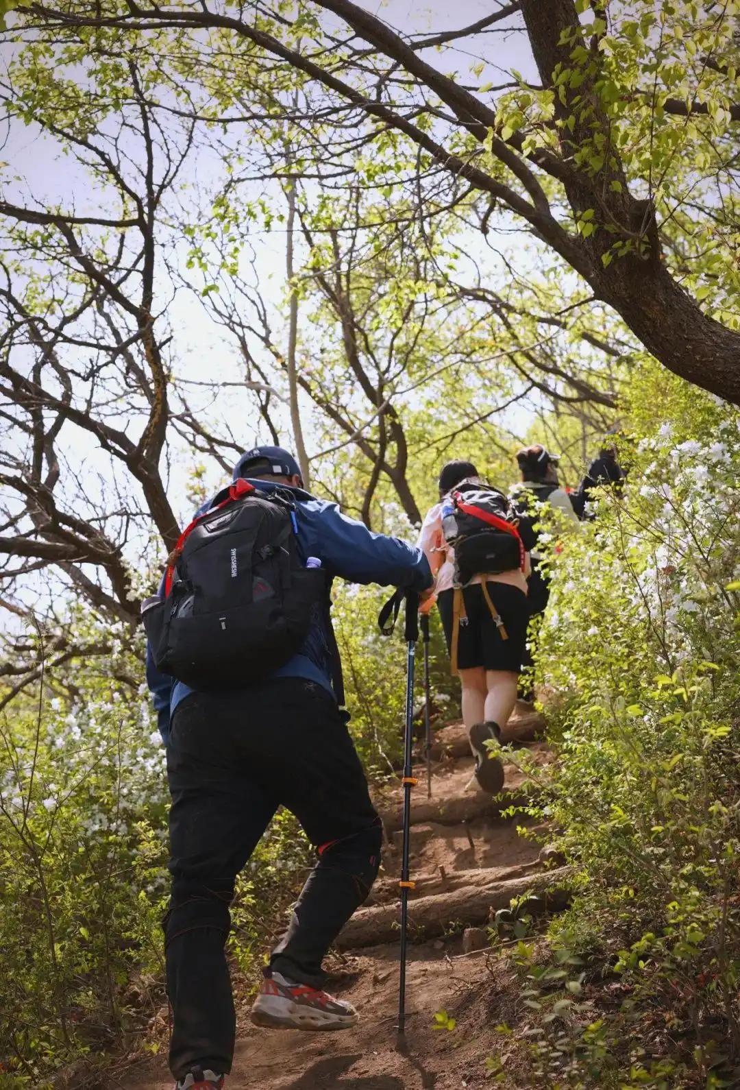 为什么真正的交易高手到最后都是只用裸k，不看任何指标的？
几乎所有的新股民踏入股