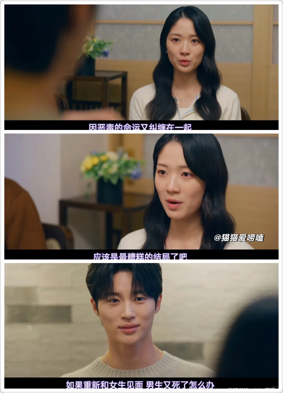 如果是你，你会怎么选？