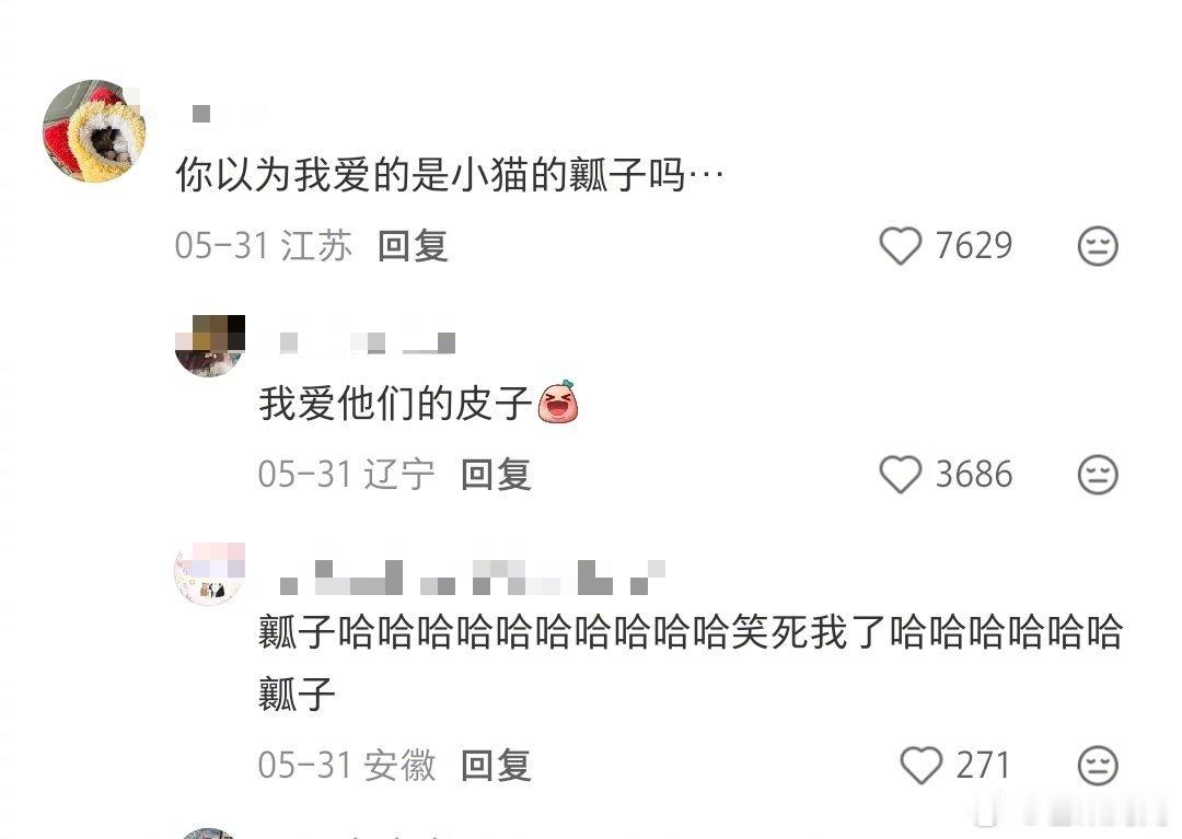 笑晕了的一句话，爱的是小猫的皮子不是瓤子