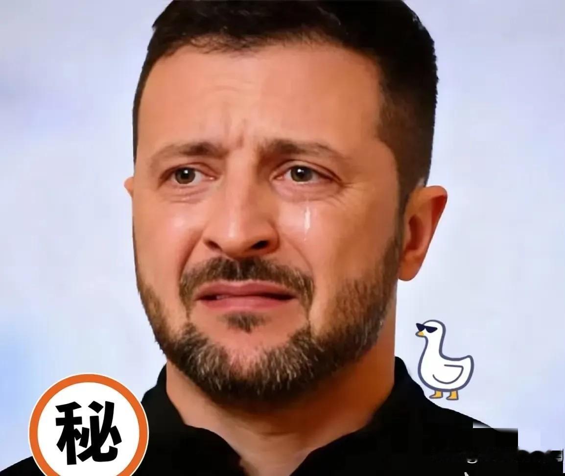 乌克兰消息！
 
12月7日，乌克兰总统泽连斯基在社交媒体上宣布，他与美国特使威