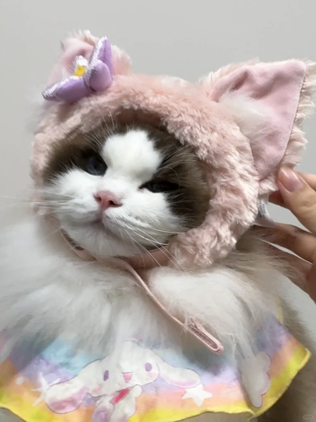 玲娜玑儿～🦊