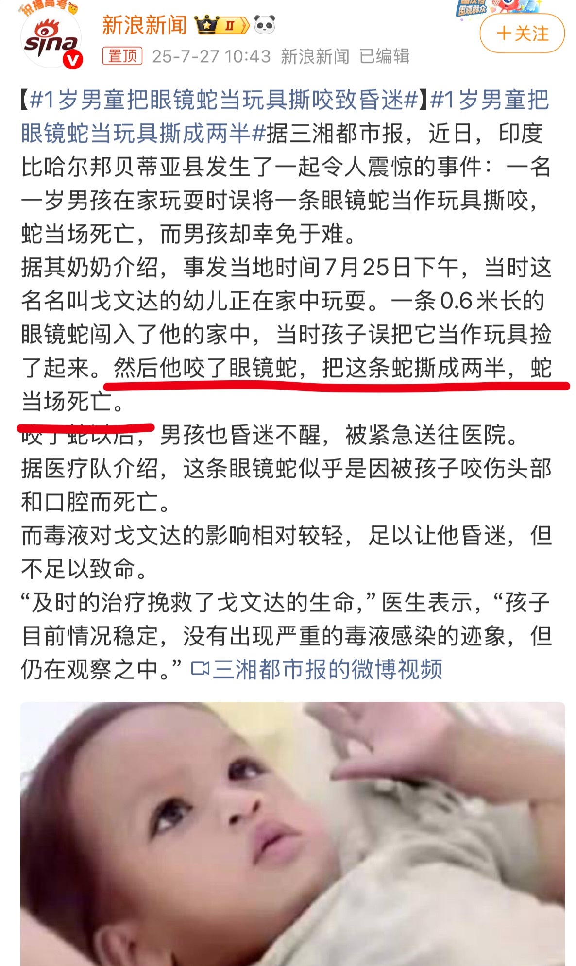 1岁男童把眼镜蛇当玩具撕咬致昏迷他咬了蛇，把蛇撕成两半，然后他晕了😂蛇：“要不