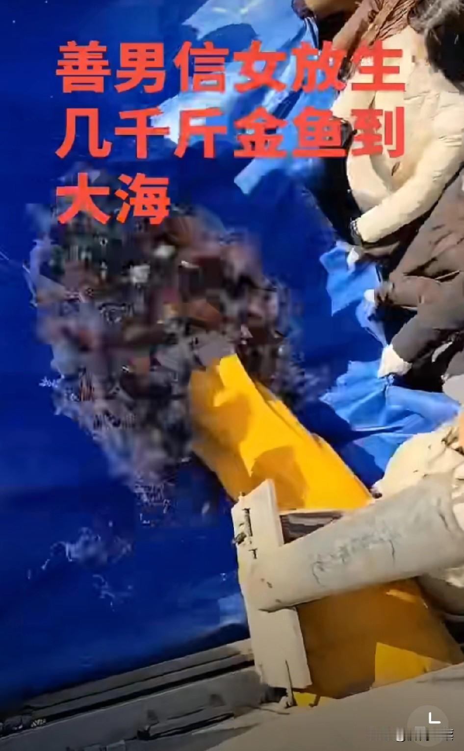 善男信女放生金鱼到海里，这哪是放生，分明是杀生啊！佛家讲放生积德行善，放生金鱼本