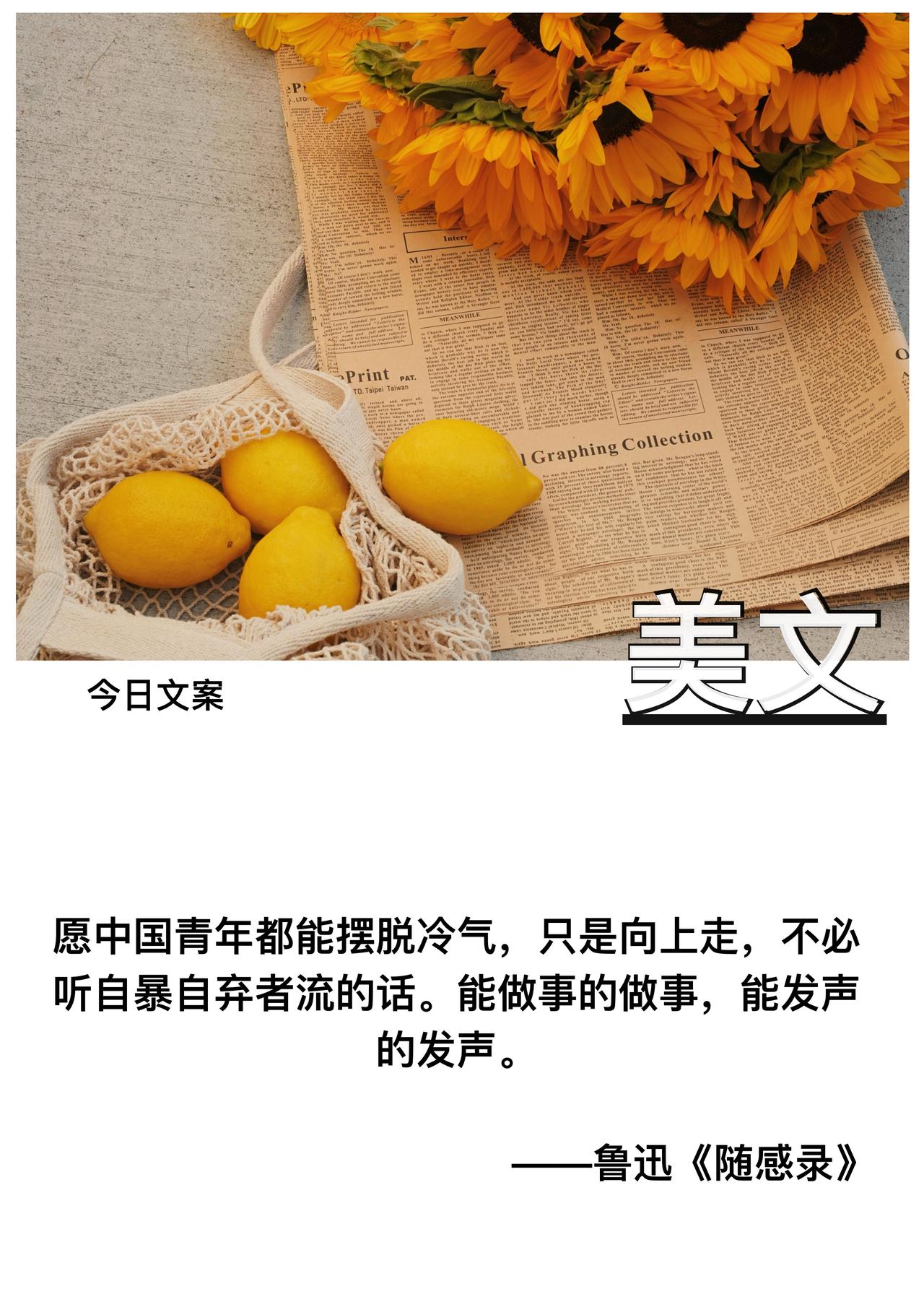 愿中国青年都能摆脱冷气

只是向上走

不必听自暴自弃者流的话

能做事的做事