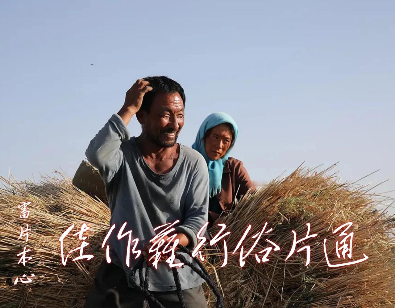 不知道现在的「电影审核」，真正的作用是什么！

2026 年 5 月 19 日，