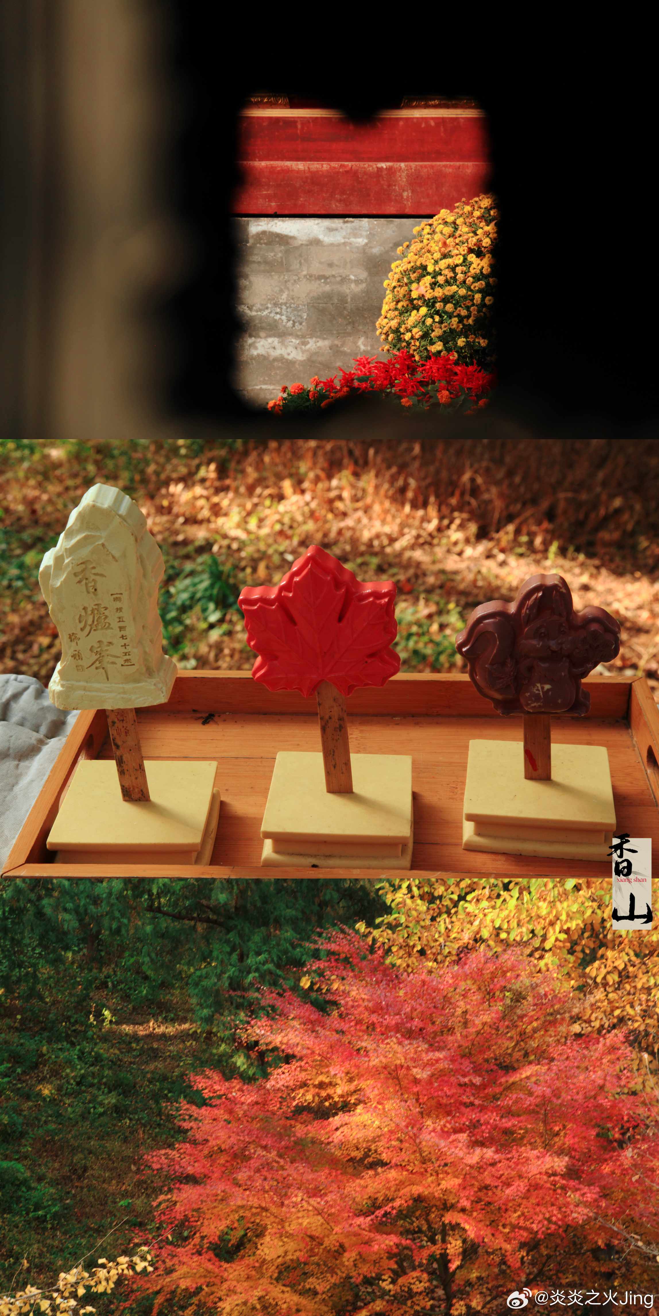 💛🧡斑斓的满庭秋色🟠🟡🍁🍂📍北京香山公园摄影