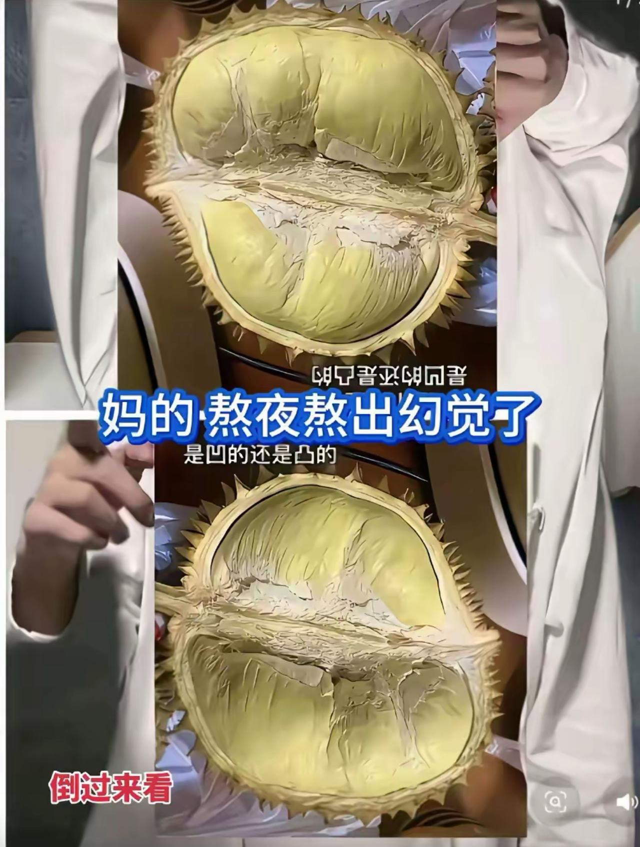 熬夜刷手机困到眼花，盯着切开的榴莲瞬间陷入自我怀疑，琢磨果肉到底是凹面还是凸面。