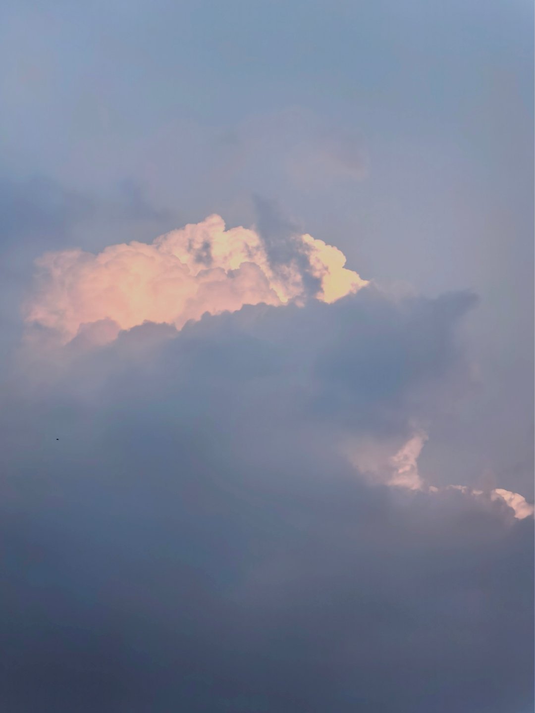 好piu亮～的一朵云☁ 