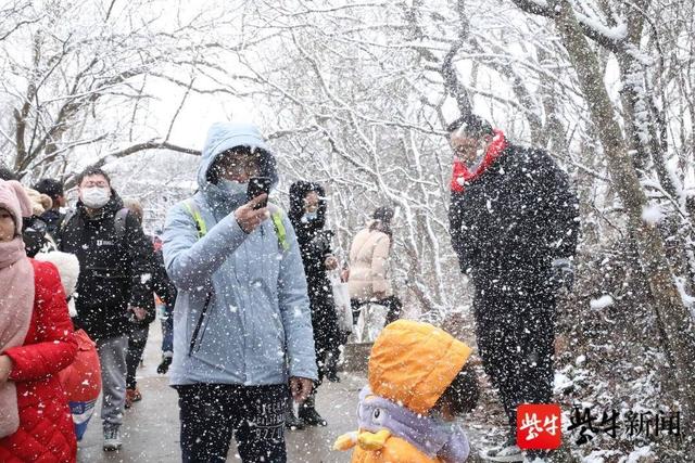 紫金山|南京紫金山 头陀岭上拍雪景